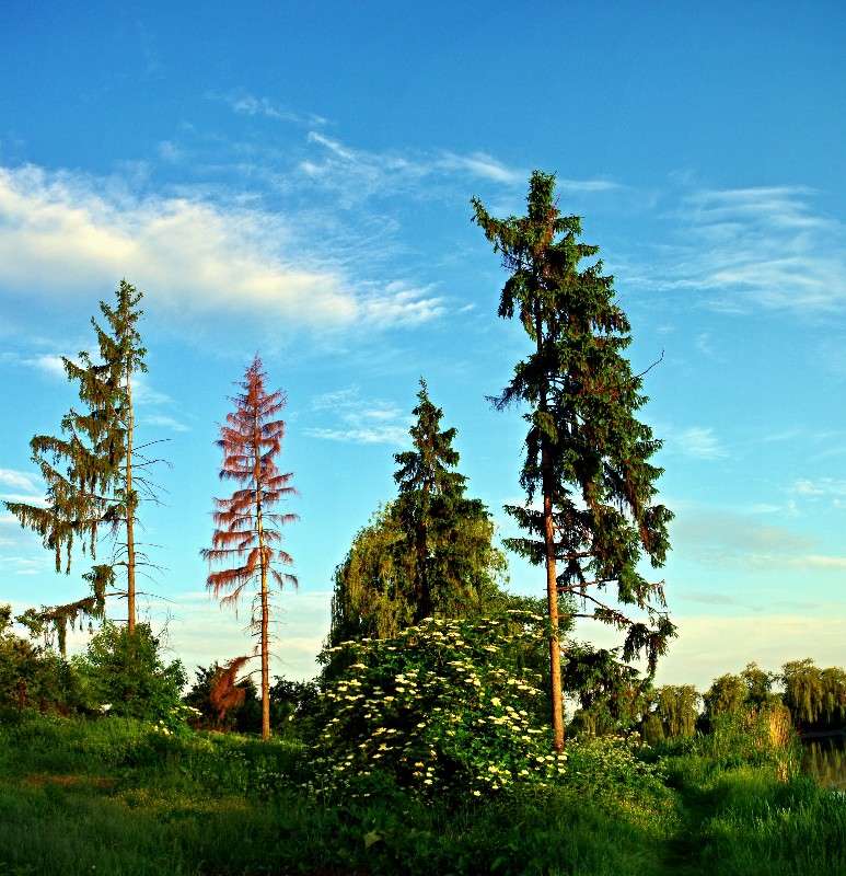 ����... ����� ���� ������ �� PhotoGeek.ru #������ ��� �������