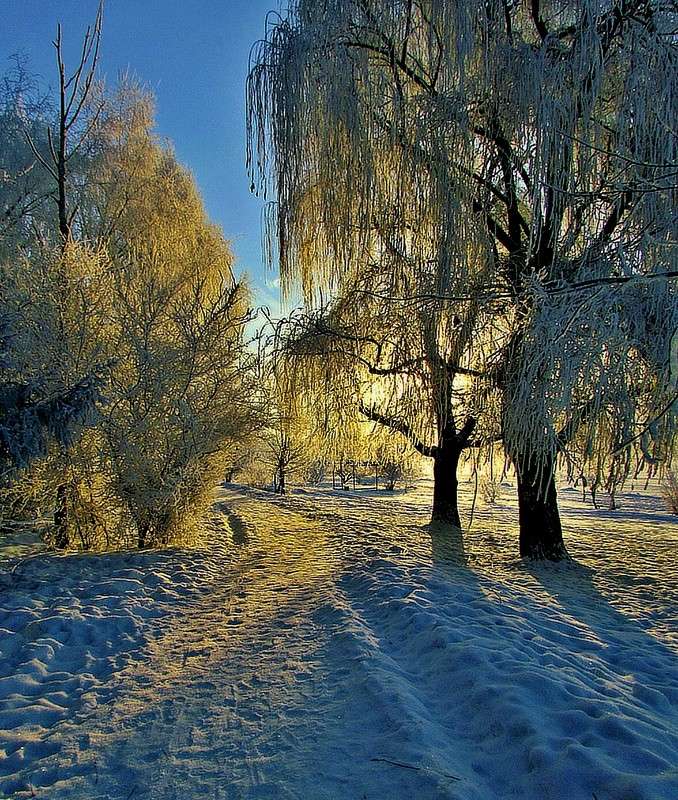 ������� ����� ���� ������ �� PhotoGeek.ru #������ ��� �������