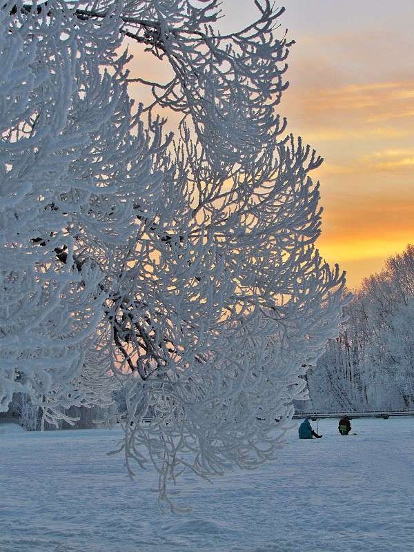 ����� ����� ���� ������ �� PhotoGeek.ru #������ ��� �������