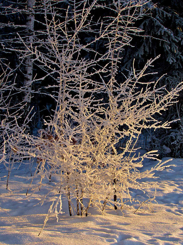 ������� ����� ���� ������ �� PhotoGeek.ru #������ ��� �������