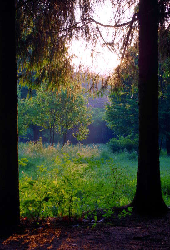 ������ ������... ����� ���� ������ �� PhotoGeek.ru #������ ��� �������