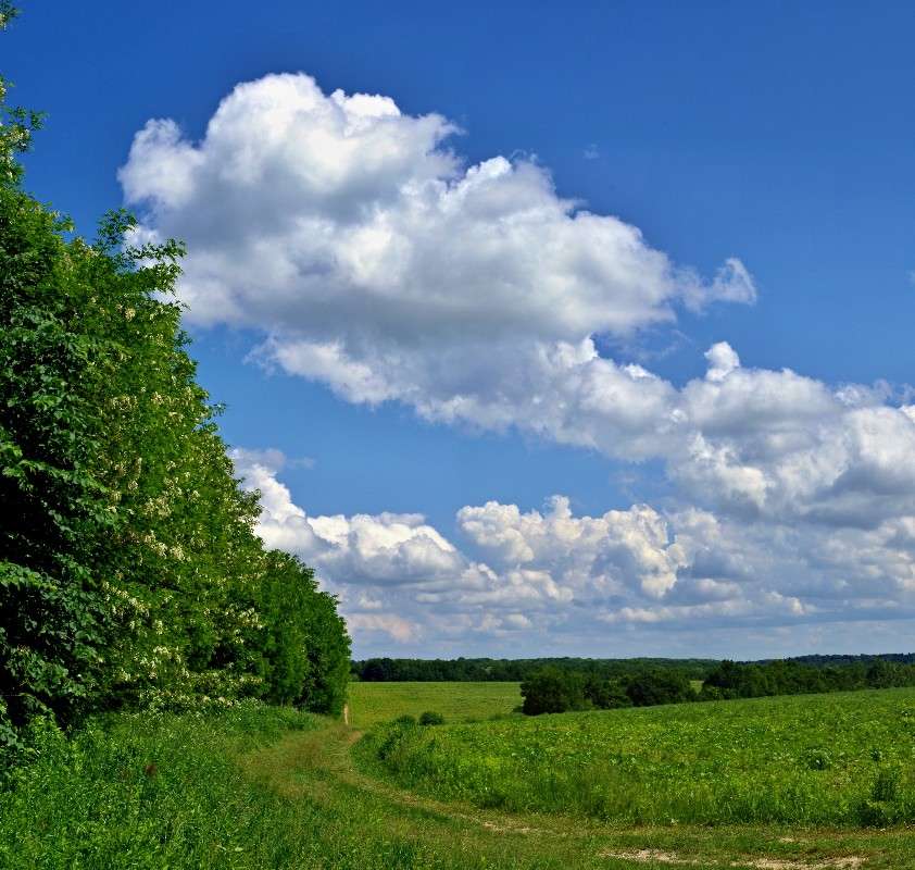 ���� ����� ���� ������ �� PhotoGeek.ru #������ ��� �������