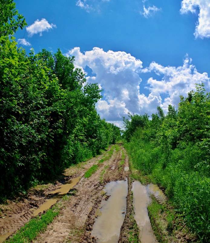 ����� ����� ����� ���� ������ �� PhotoGeek.ru #������ ��� �������