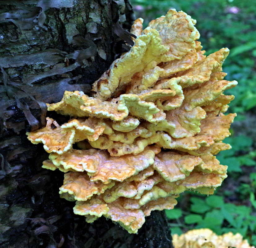 ����� ����� ���� ������ �� PhotoGeek.ru #������ ��� �������