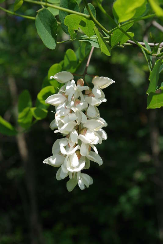 ������ ������ ����� ���� ������ �� PhotoGeek.ru #������ ��� �������