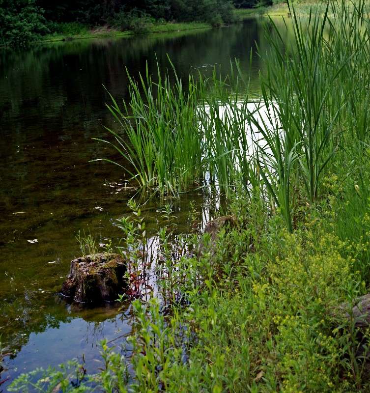 � ����� ����� ���� ������ �� PhotoGeek.ru #������ ��� �������