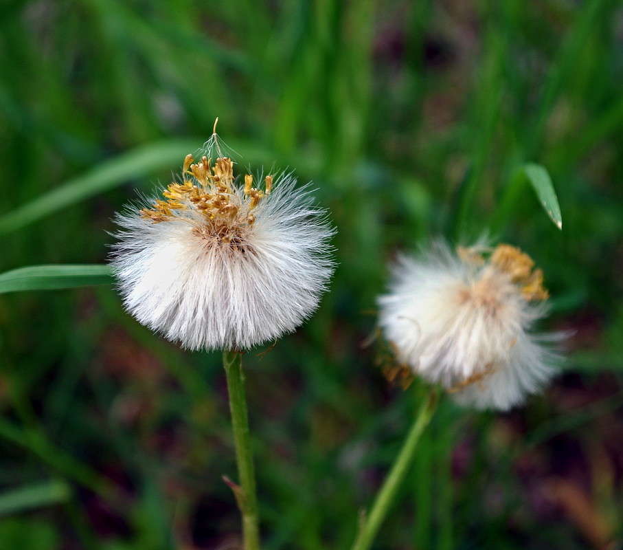 ����� �����... ����� ���� ������ �� PhotoGeek.ru #�������� ����������