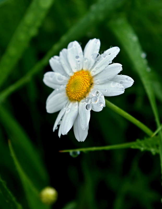 ... ����� ���� ������ �� PhotoGeek.ru #�����