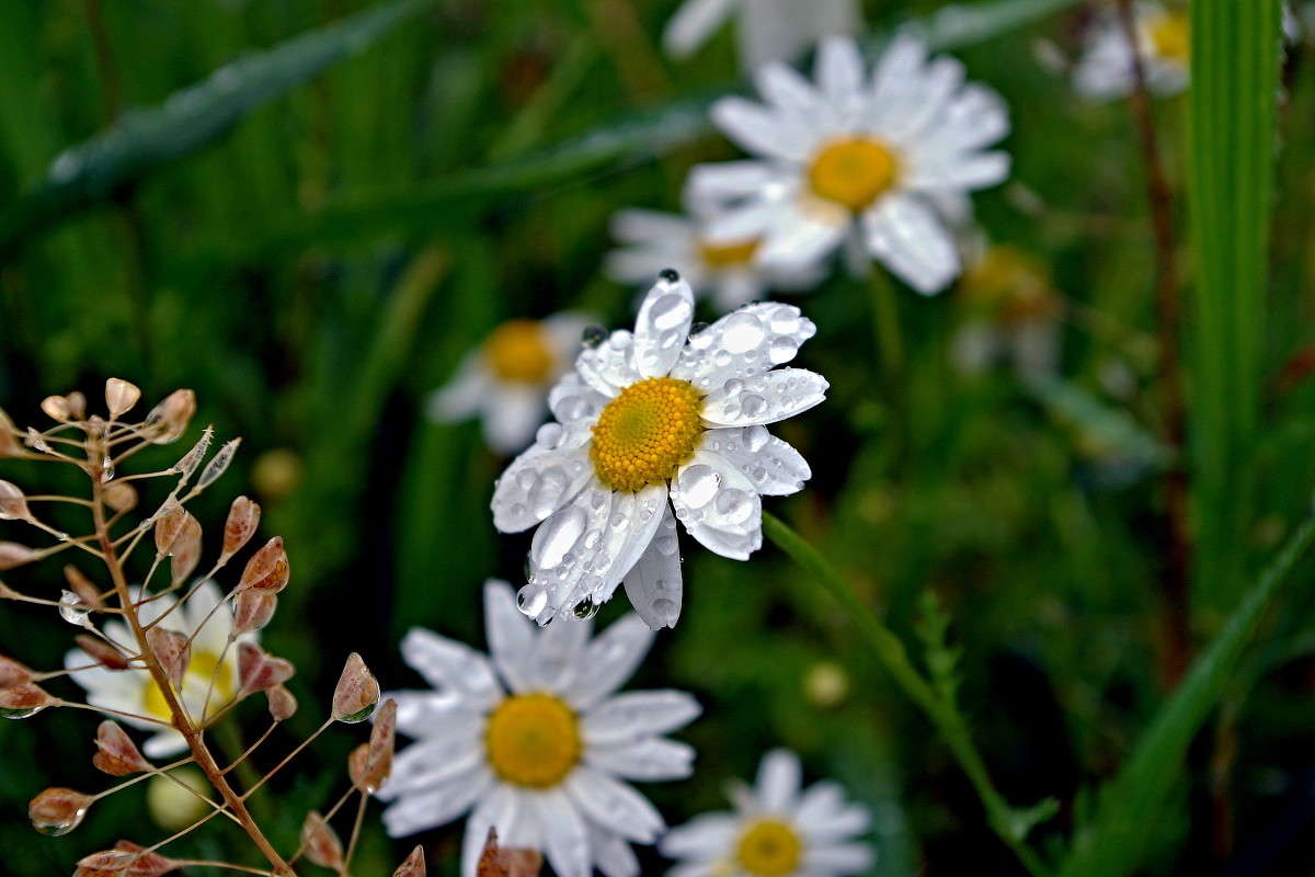 ... ����� ���� ������ �� PhotoGeek.ru #�������� ����������