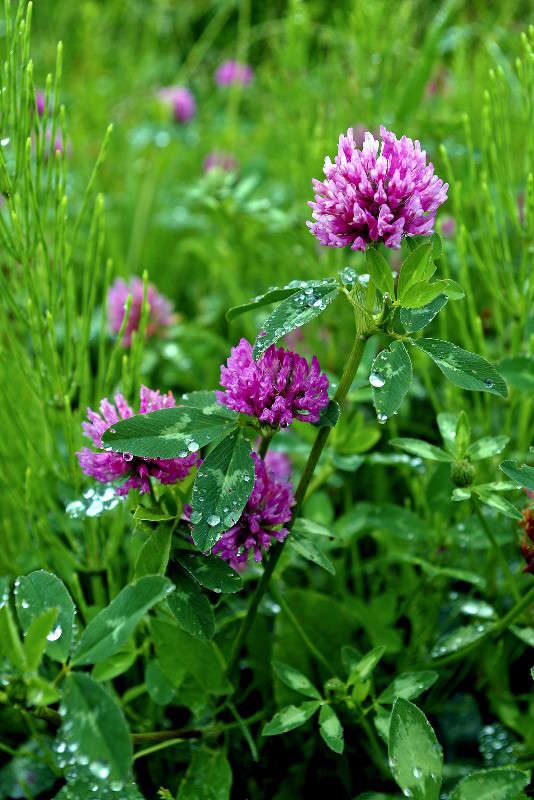 ... ����� ���� ������ �� PhotoGeek.ru #������ ��� �������