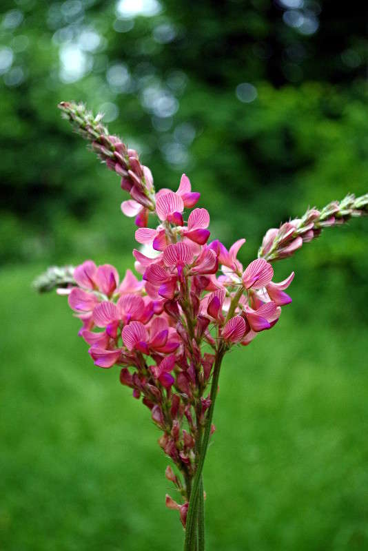 ... ����� ���� ������ �� PhotoGeek.ru #�������� ����������