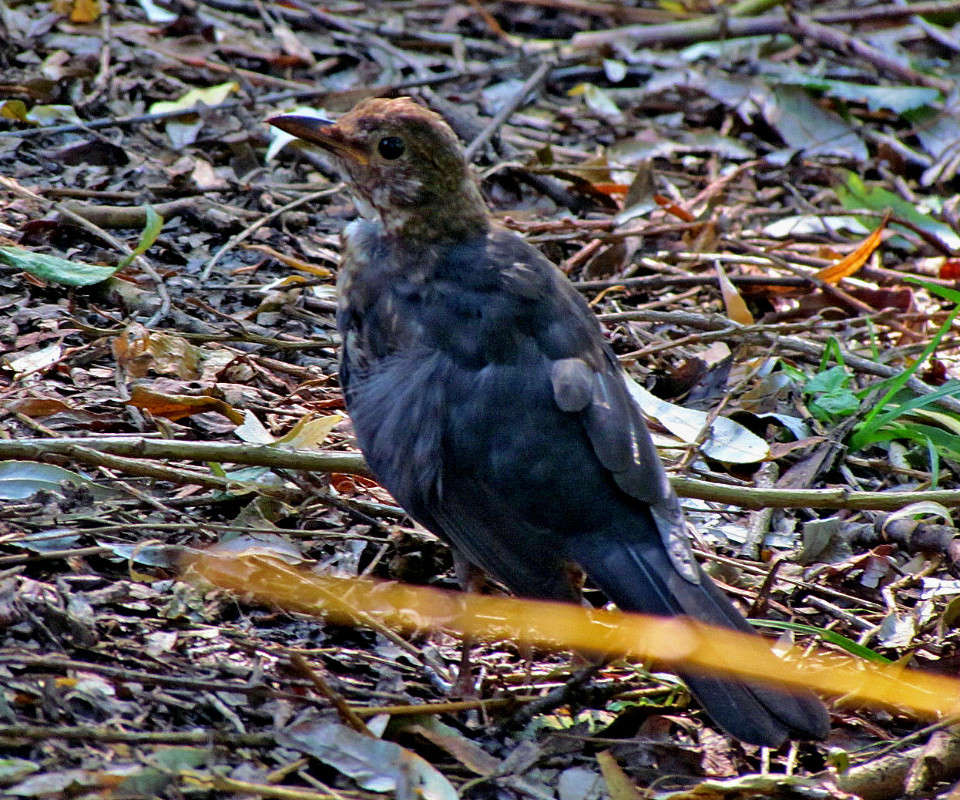 ... ����� ���� ������ �� PhotoGeek.ru #�������� ����������