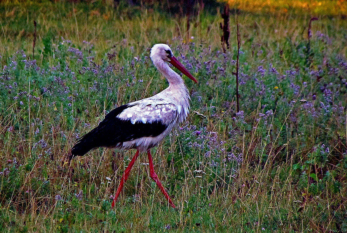 ���� ����� ���� ������ �� PhotoGeek.ru #������ ��� �������