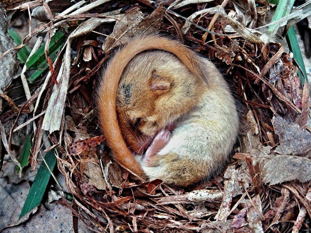 ����,���������,��������... ����� ���� ������ �� PhotoGeek.ru #������ ��� �������