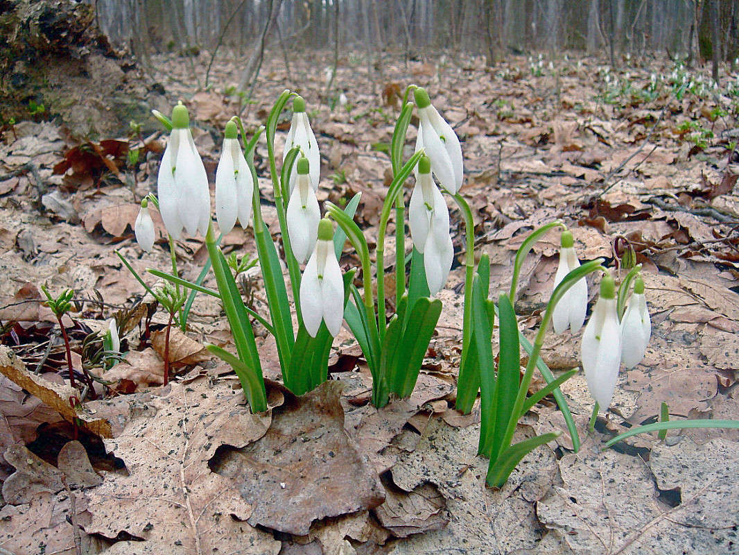 ������� ����� ���� ������ �� PhotoGeek.ru #������ ��� �������