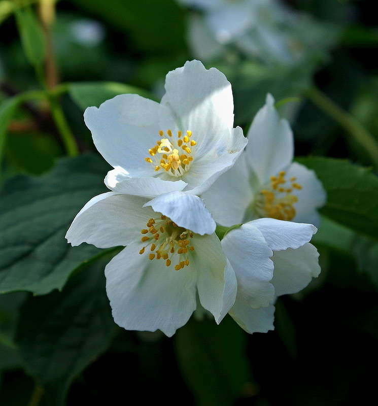 ������ ����� ���� ������ �� PhotoGeek.ru #������ ��� �������