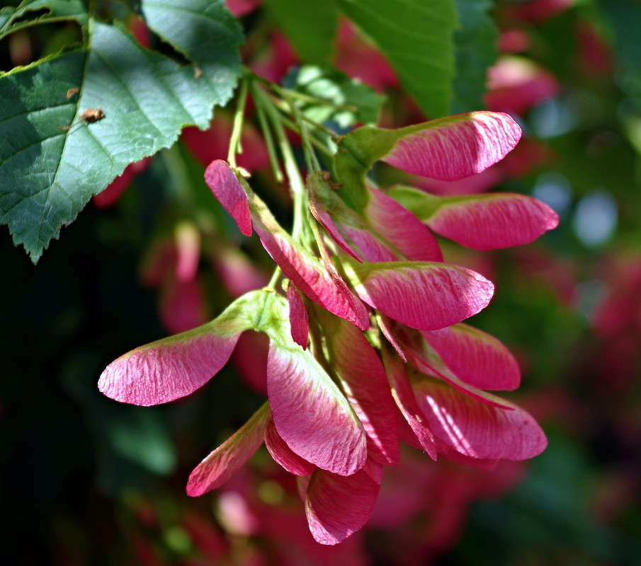 ... ����� ���� ������ �� PhotoGeek.ru #������ ��� �������