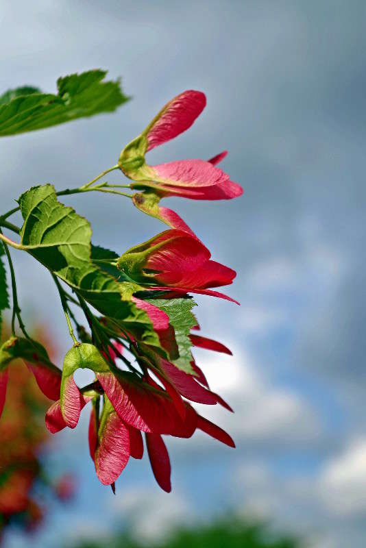 ����������... ����� ���� ������ �� PhotoGeek.ru #������ ��� �������