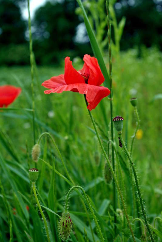 ���� ����� ���� ������ �� PhotoGeek.ru #�������� ����������