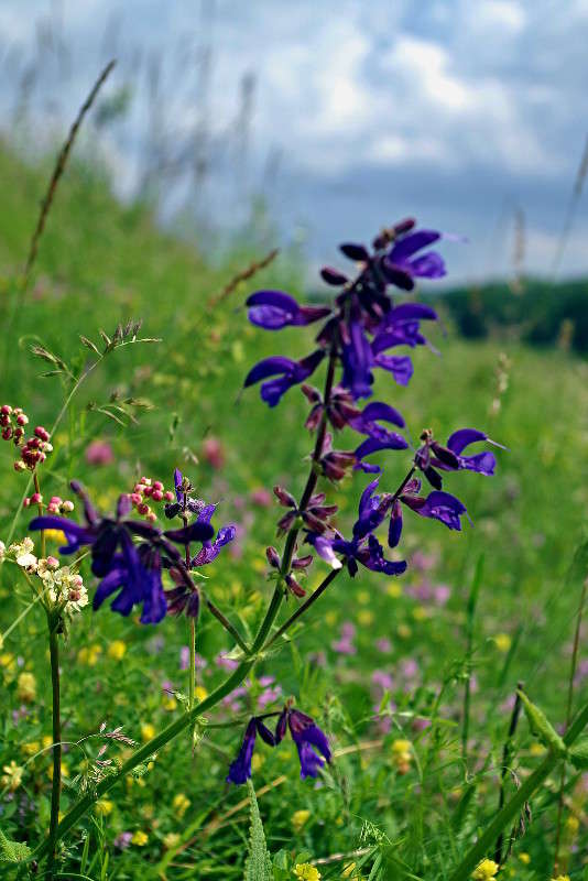 ... ����� ���� ������ �� PhotoGeek.ru #�������� ����������