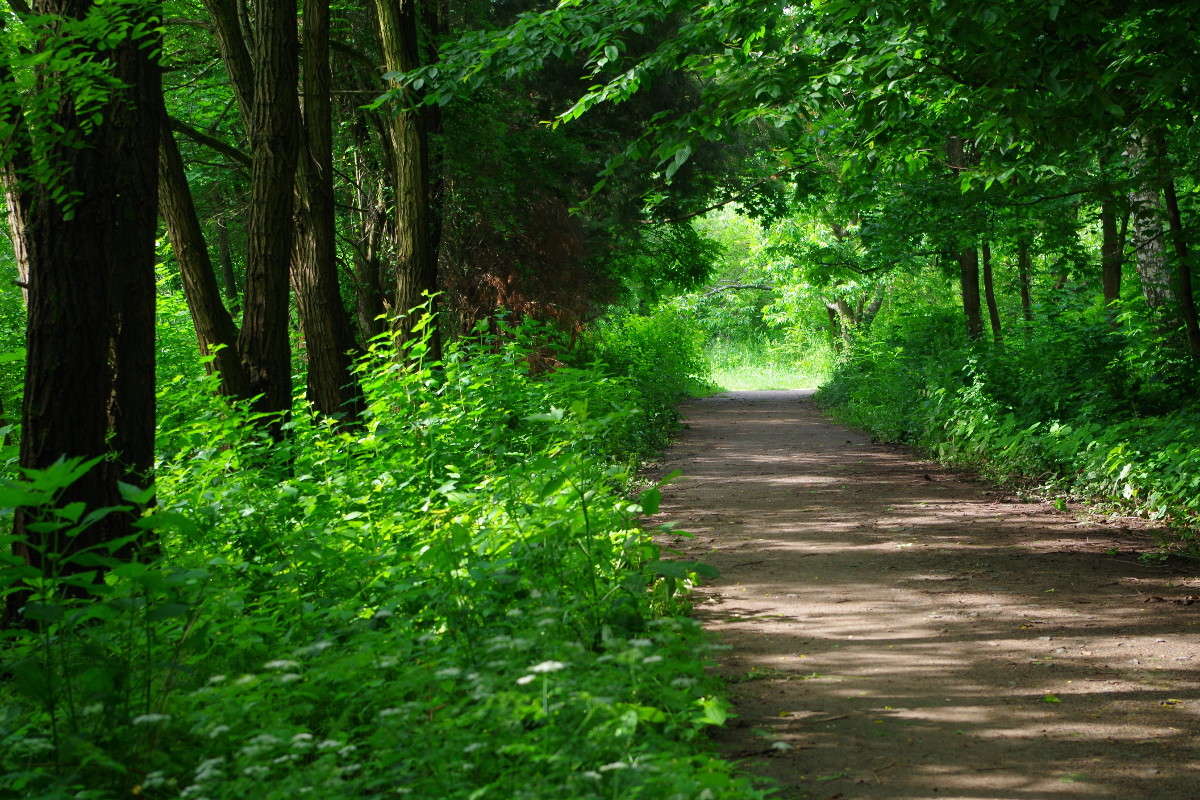 ���� ����� ���� ������ �� PhotoGeek.ru #������ ��� �������