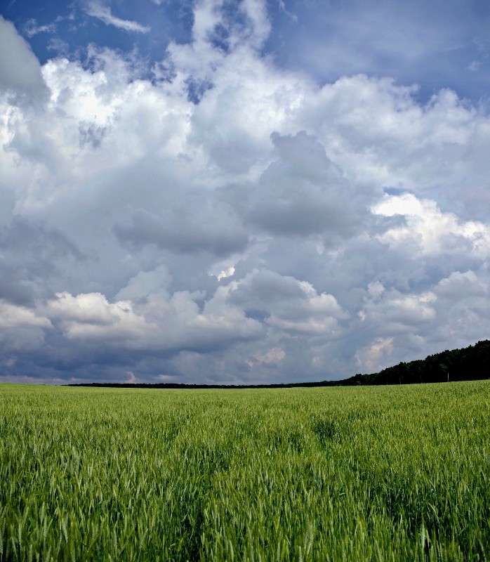 �� ���� ����� ���� ������ �� PhotoGeek.ru #������ ��� �������