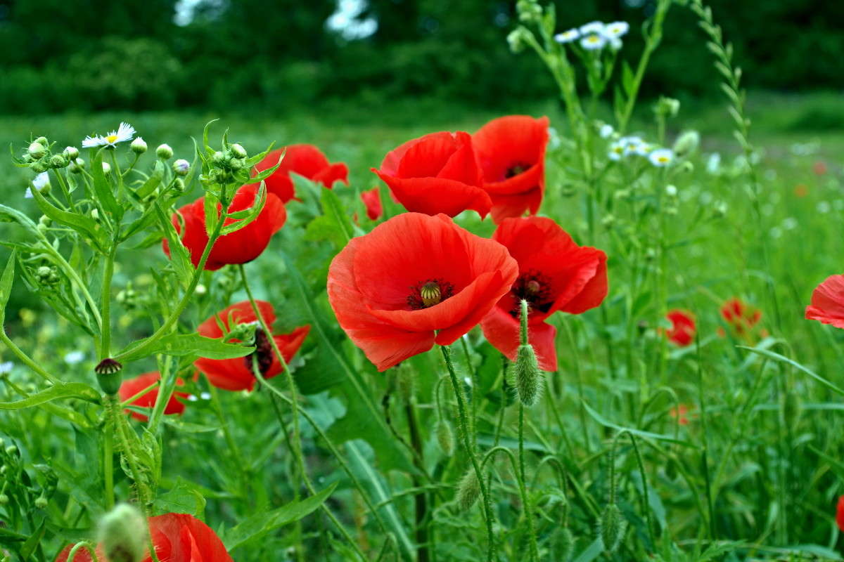 ���� ����� ���� ������ �� PhotoGeek.ru #������ ��� �������