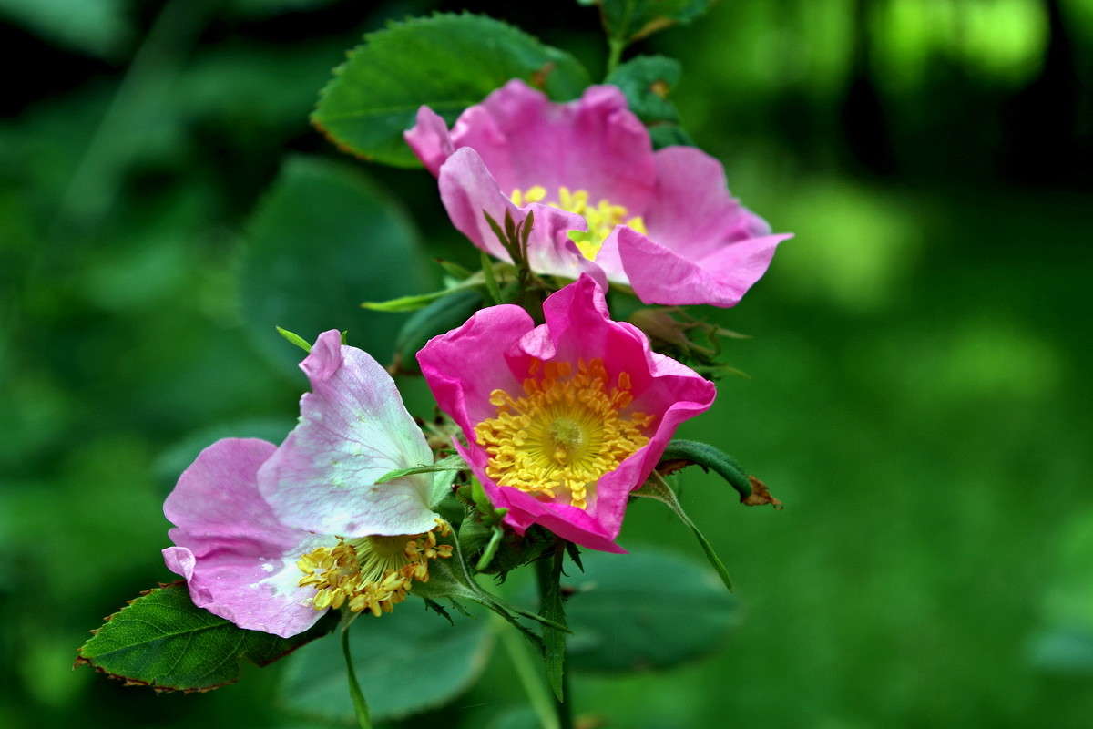 ... ����� ���� ������ �� PhotoGeek.ru #�������� ����������