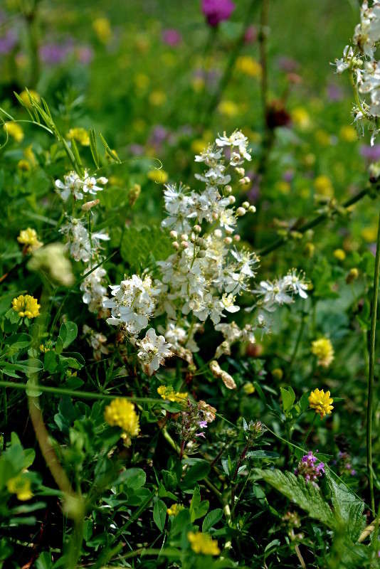 ... ����� ���� ������ �� PhotoGeek.ru #�������� ����������