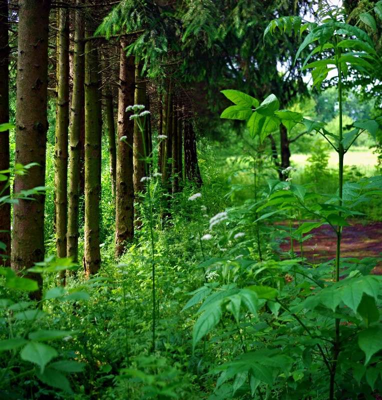 ... ����� ���� ������ �� PhotoGeek.ru #������ ��� �������