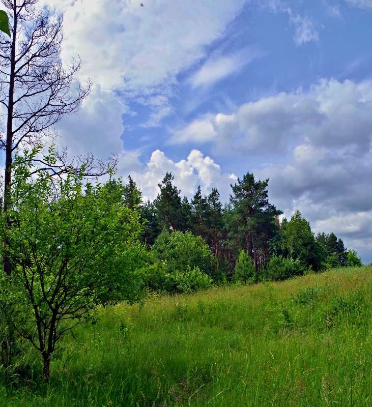 ������ ����� ���� ������ �� PhotoGeek.ru #������ ��� �������