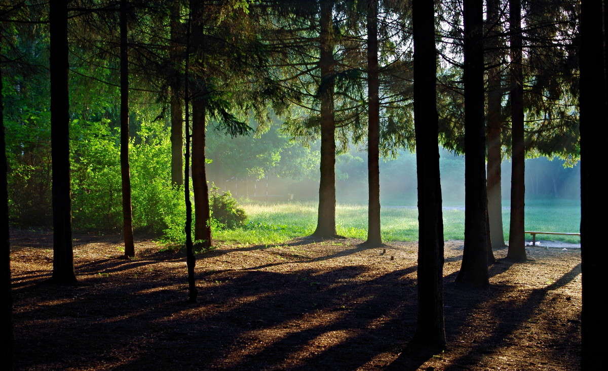 ... ����� ���� ������ �� PhotoGeek.ru #������ ��� �������