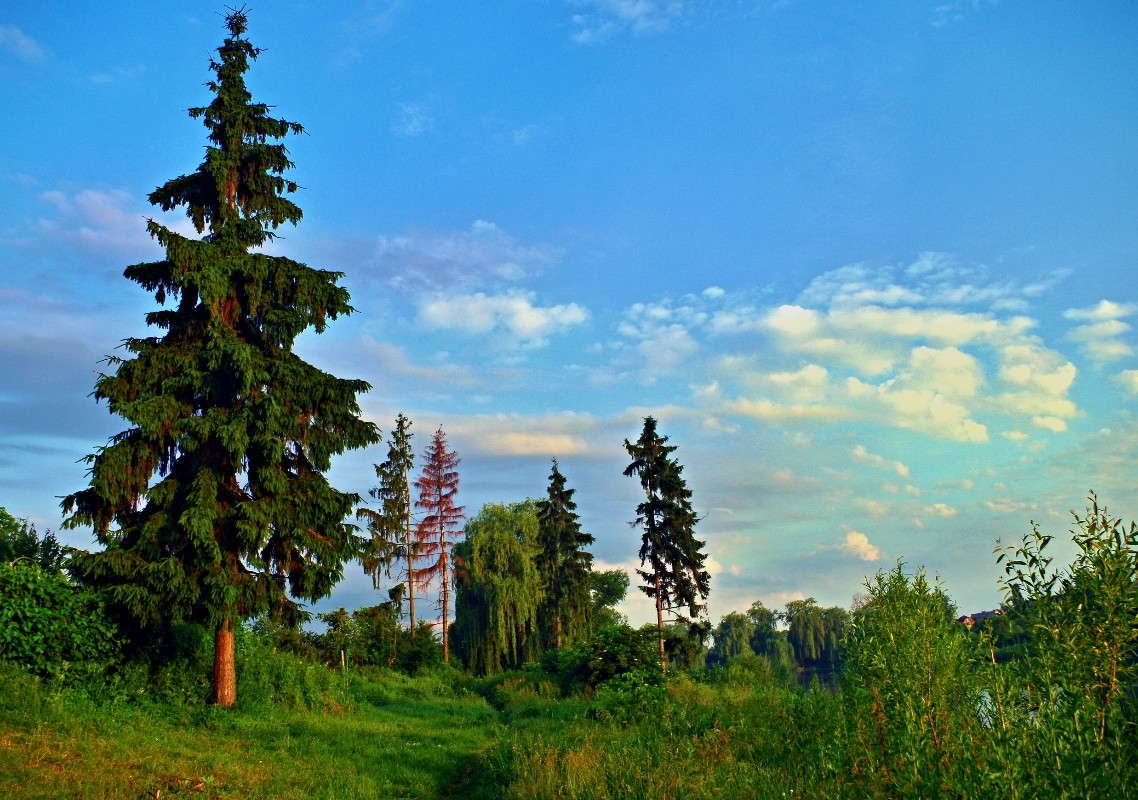 ������ ����� ���� ������ �� PhotoGeek.ru #������ ��� �������