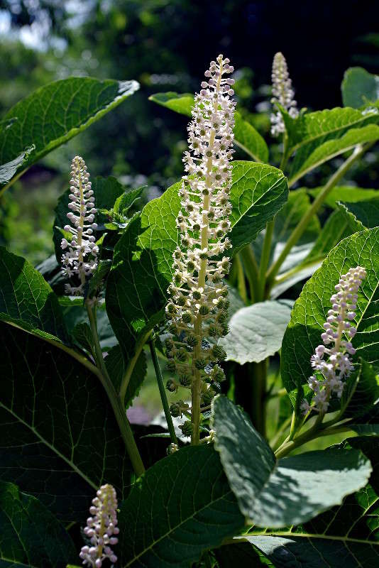 ... ����� ���� ������ �� PhotoGeek.ru #�������� ����������