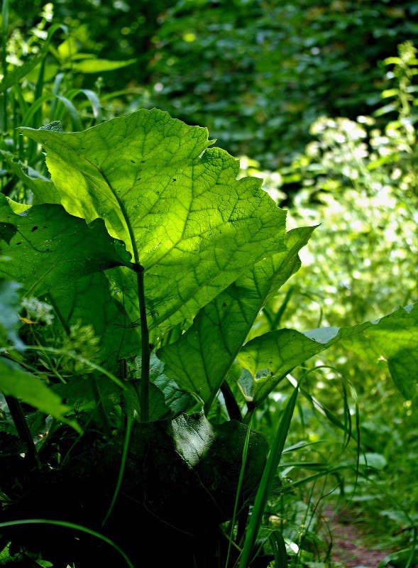 ����� ����� ���� ������ �� PhotoGeek.ru #������ ��� �������