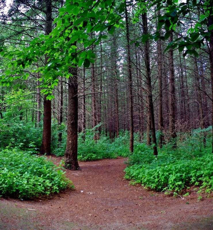 �������� ����� ���� ������ �� PhotoGeek.ru #�������� ����������