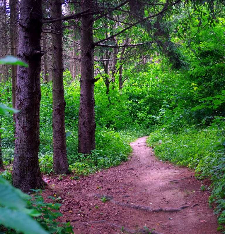 ... ����� ���� ������ �� PhotoGeek.ru #�������� ����������