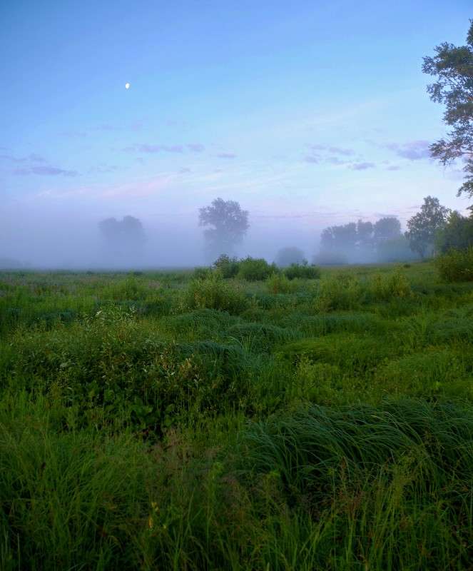 ... ����� ���� ������ �� PhotoGeek.ru #������ ��� �������