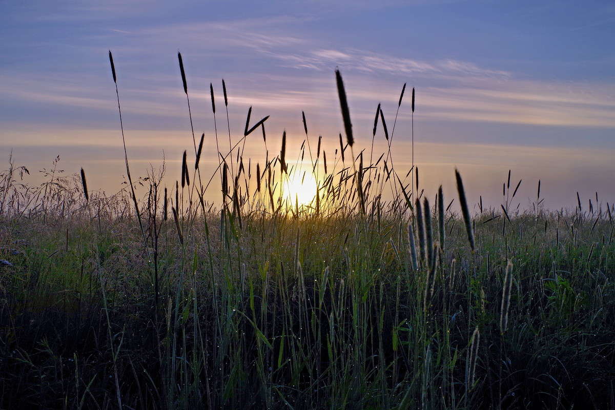 ... ����� ���� ������ �� PhotoGeek.ru #������ ��� �������