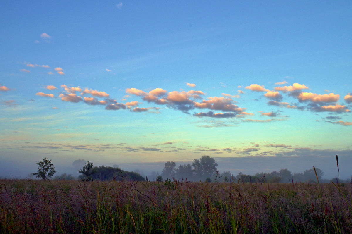 ... ����� ���� ������ �� PhotoGeek.ru #������ ��� �������