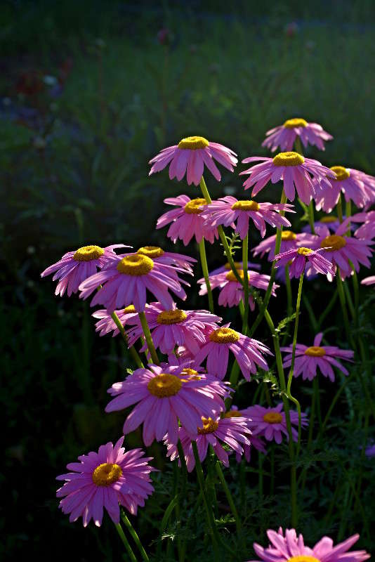 ... ����� ���� ������ �� PhotoGeek.ru #�������� ����������