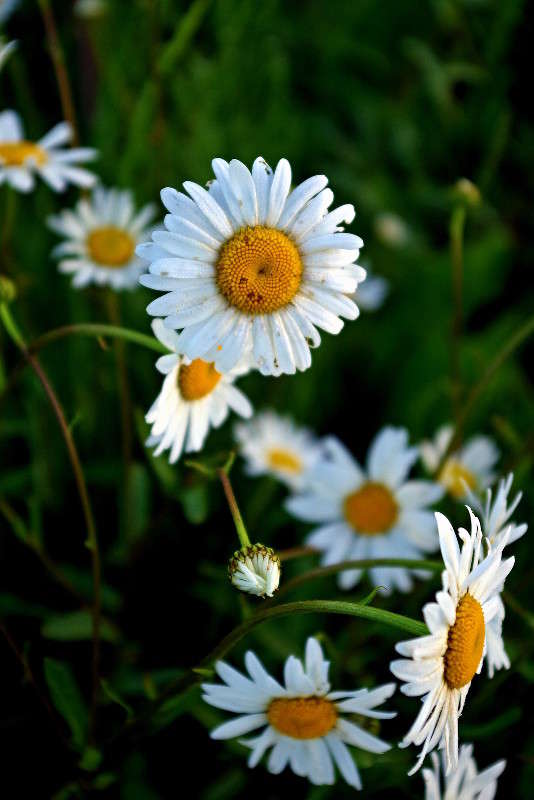 ... ����� ���� ������ �� PhotoGeek.ru #�������� ����������