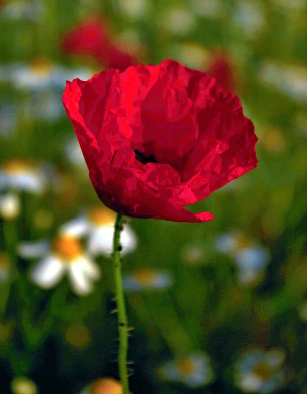 ��� ����� ���� ������ �� PhotoGeek.ru #������ ��� �������