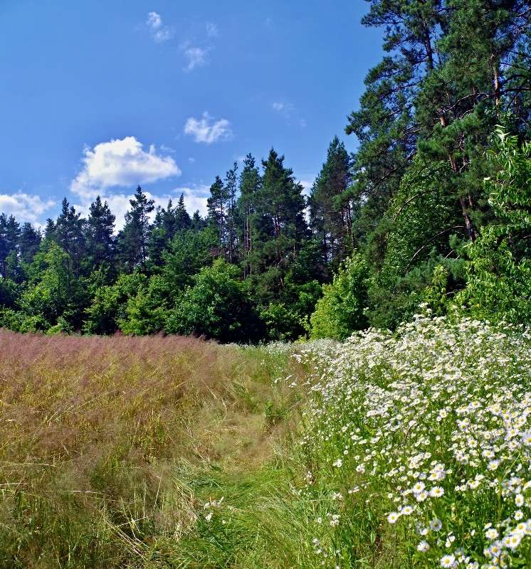 ������ ����� ���� ������ �� PhotoGeek.ru #������ ��� �������