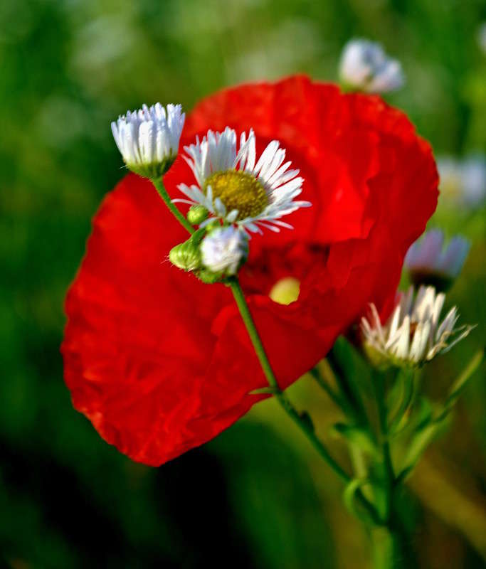 ... ����� ���� ������ �� PhotoGeek.ru #�����