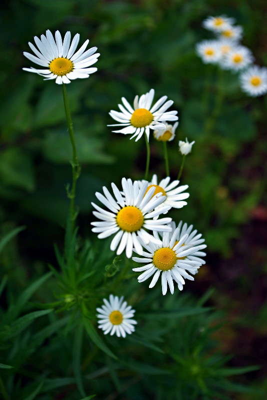 ... ����� ���� ������ �� PhotoGeek.ru #�����