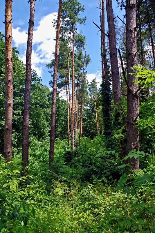 ����� ����� ���� ������ �� PhotoGeek.ru #������ ��� �������