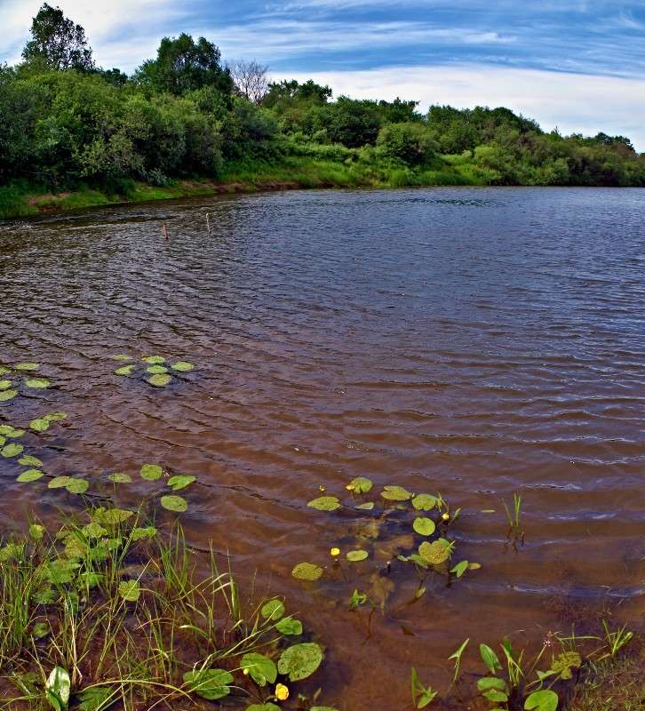 �������... ����� ���� ������ �� PhotoGeek.ru #������ ��� �������