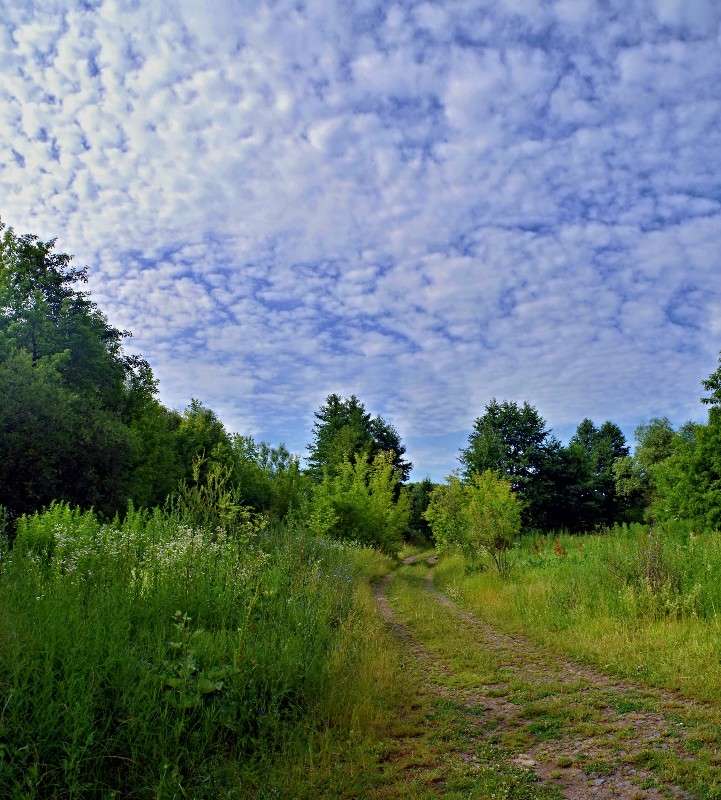 ������ ����� ���� ������ �� PhotoGeek.ru #������ ��� �������