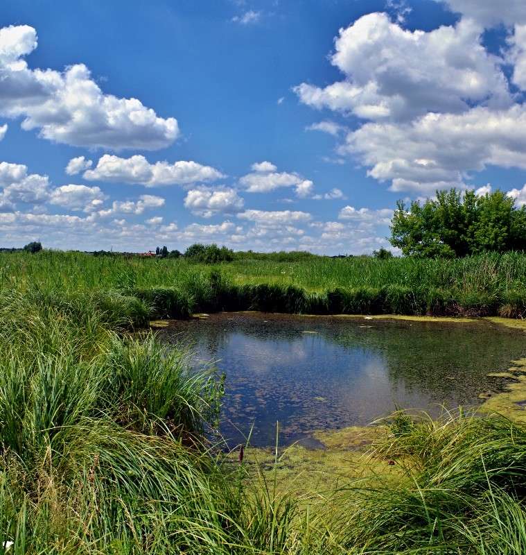 .. ����� ���� ������ �� PhotoGeek.ru #������ ��� �������